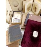 A collection of eight late 19th century photograph albums containing both family portraits and