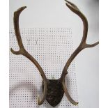 Good pair of stag trophy antlers upon a carved Black Forest oak shield, 66 cm high