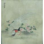 Early 20th Century oriental school, study of a pheasant and flowers, watercolour on fabric panel,