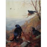 Archibald Thorburn (British 1860-1935) - Coloured limited edition print of black game amongst