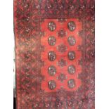Bokhara rug with typical geometric decoration upon a red ground, 145 x 100cm