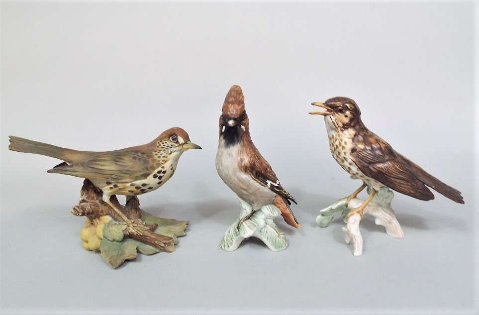 A collection of eleven Goebel matt glazed models of birds including an owl, a pheasant, a - Image 3 of 5