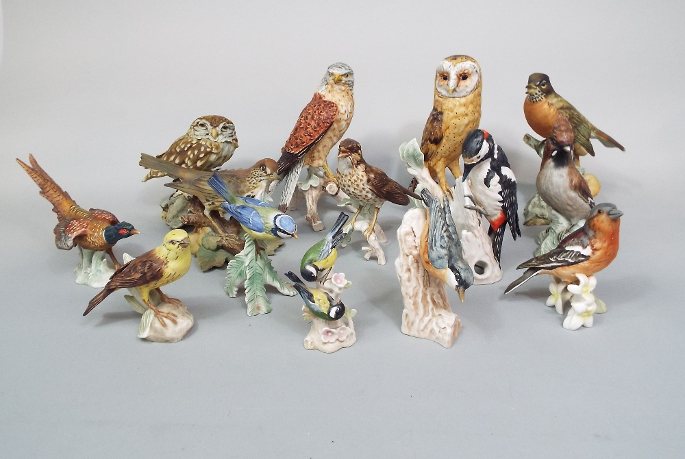 A collection of eleven Goebel matt glazed models of birds including an owl, a pheasant, a