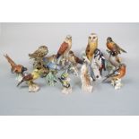 A collection of eleven Goebel matt glazed models of birds including an owl, a pheasant, a