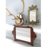 A pair of Stag antlers fitted to a walnut plaque with a further twin branch girandole type gilt
