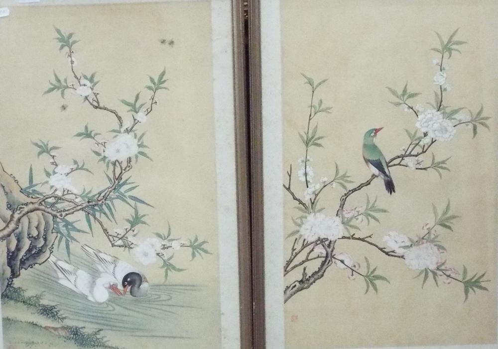 Early 20th century oriental school - Pair of watercolour studies of a pair of ducks swimming beneath