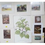 A collection of unframed coloured prints, mainly of landscape, countryside and sporting subjects
