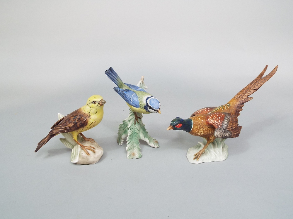 A collection of eleven Goebel matt glazed models of birds including an owl, a pheasant, a - Image 5 of 5