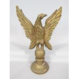 Antique gilt wood and gesso carving of a spread eagle upon a stepped circular plinth base, 62 cm