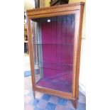A good quality 19th century satinwood display cabinet with glazed front and sides, the satinwood