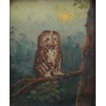 Arthur De Tivoli (early 20th century) - Study of an owl on a branch, oil on board, 35 x 27 cm in