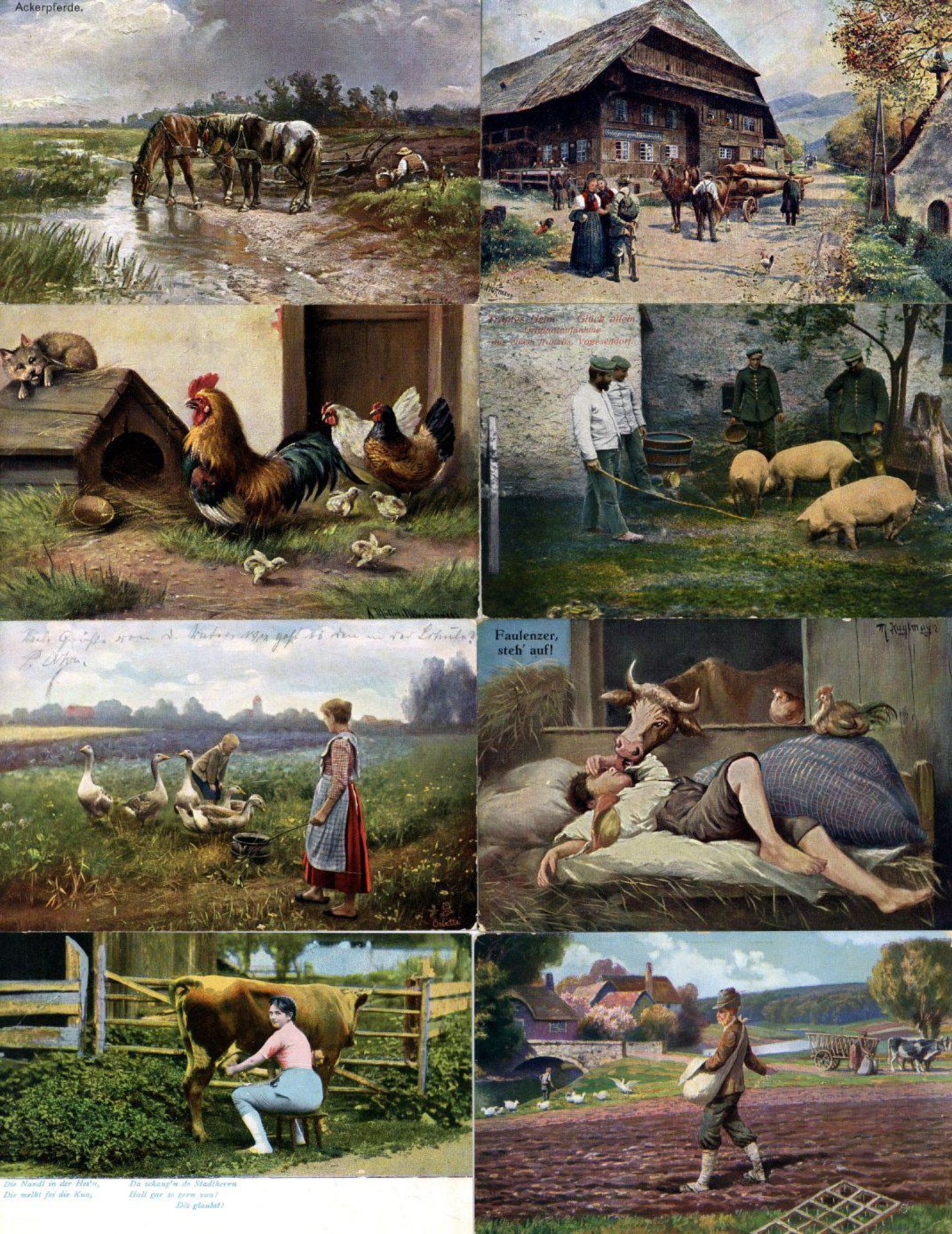 Ausstellungen/Ereignisse,Gartenbau/Landwirtschaft,LandwirtschaftsausstellungLandwirtschaft