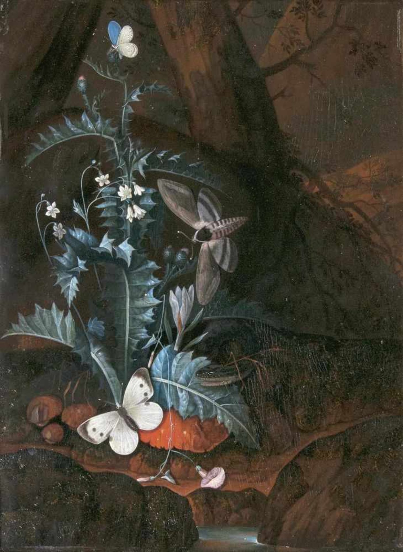 Charles William de Hamilton(Brüssel 1668 - Augsburg 1754)Waldbodenstilleben mit Schlange,