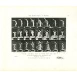 EADWEARD MUYBRIDGE - Woman: Pouring a Basin of Water over Her Head