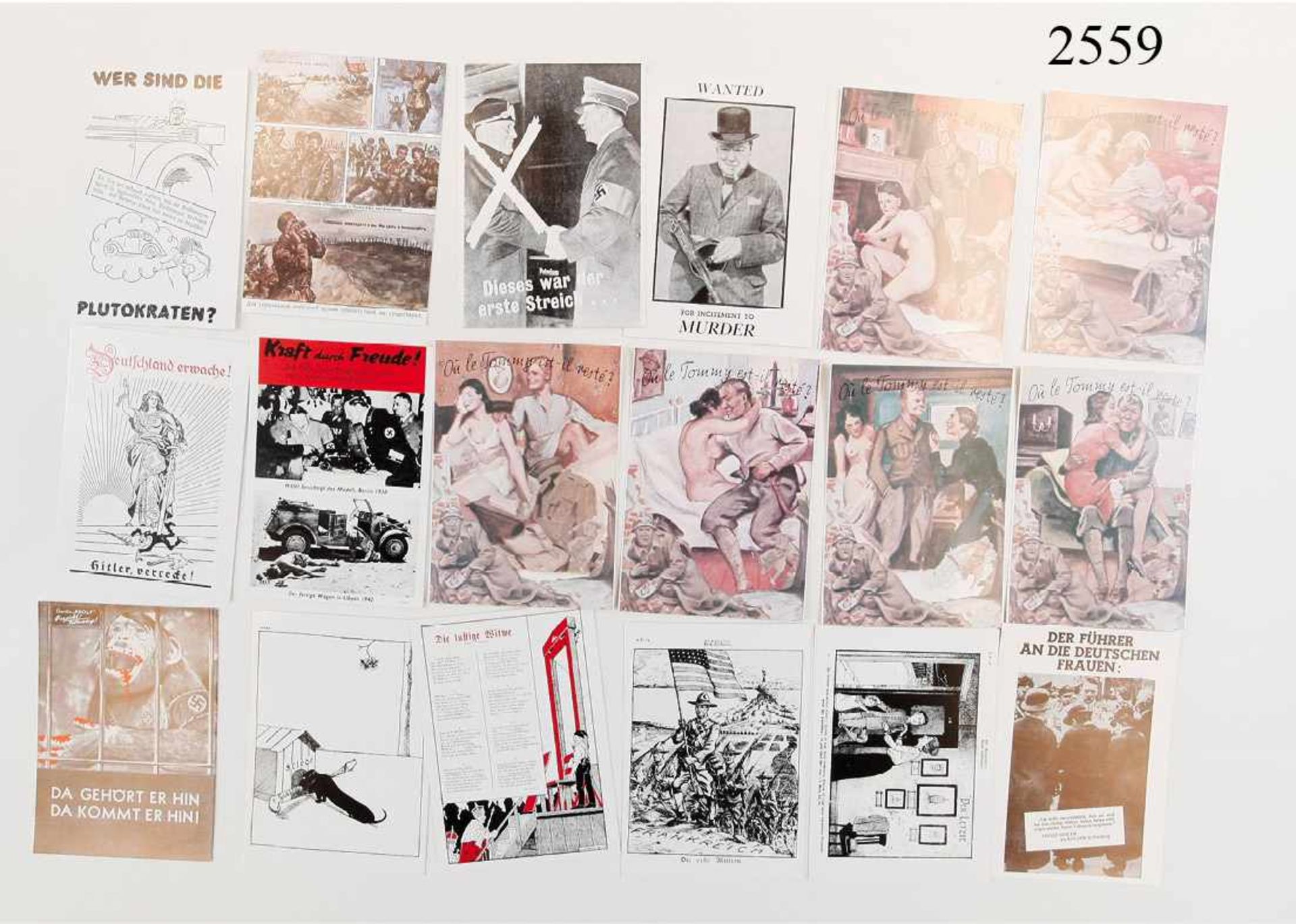 Feind-Propagandapostkarten"Postkarten die vom Himmel fielen". Set von 24 Kriegsflugblättern in