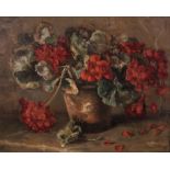 Lucie Wittig Keijser (Dutch 1875-1958) STILL LIFE WITH GERANIUMS signed oil on canvas 39 by 49cm