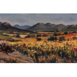 Hennie Niemann Snr (South African 1941-) NAMAQUALAND