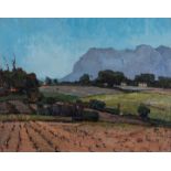 Pieter Willem Frederick Wenning (South African 1873-1921) LANDSCAPE WITH VINEYARD, CONSTANTIA signed