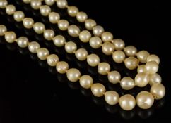 Double row of graduated pearls, on a diamond set white metal clasp, pearls graduating in size from