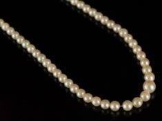 Single row of graduated pearls, top half knotted, bottom half unknotted, strung on a diamond set