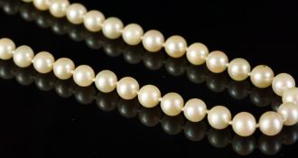 Single row of cultured pearl necklace, 7.2mm cultured cream pearls, strung knotted on a 9ct yellow