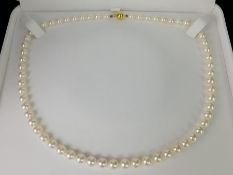Single row pearl necklace, 6-6.2mm cultured pearls, strung knotted on an 18ct yellow gold ball