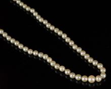 Single row of graduated pearls, knotted, strung on a diamond set white metal clasp stamped 585,