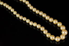 Single row of graduated pearls, knotted, strung on a white metal clasp partially stamped 9ct, pearls
