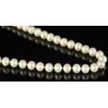 Single row of cultured pearl necklace, 7.5mm cultured cream pearls, strung knotted on a yellow metal