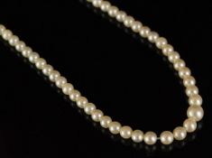 Single row of graduated pearls, top half knotted, bottom half unknotted, strung on a diamond set