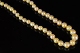 Single row of graduated pearls, knotted, strung on a white metal clasp partially stamped 9ct, pearls