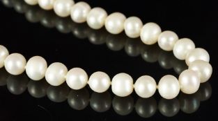 Single row of cultured freshwater pearls, 9-9-2mm cultured freshwater pearls, on a 9ct gold clasp,