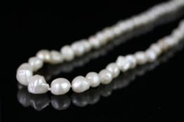 Graduated baroque pearl necklet, strung knotted on a yellow metal clasp stamped 375, approximate