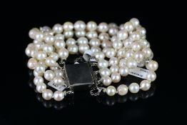 Five row pearl and diamond set bracelet, with a white metal box clasp stamped 18ct, two white