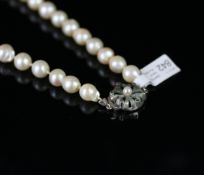 Pearl necklet, on white metal marcasite set clasp, approximate length 44cm.
