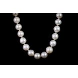 South sea pearl necklace, 35 graduated near round pearls measuring from 10.33mm - 12.69 mm, total
