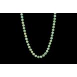 Jade necklace, total of 89 jade beads, rose gold clasp, approximate total length 42.5cm