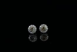 14ct White Gold Diamond stud earrings featuring centre, 2 round brilliant cut, cognac Diamonds (0.