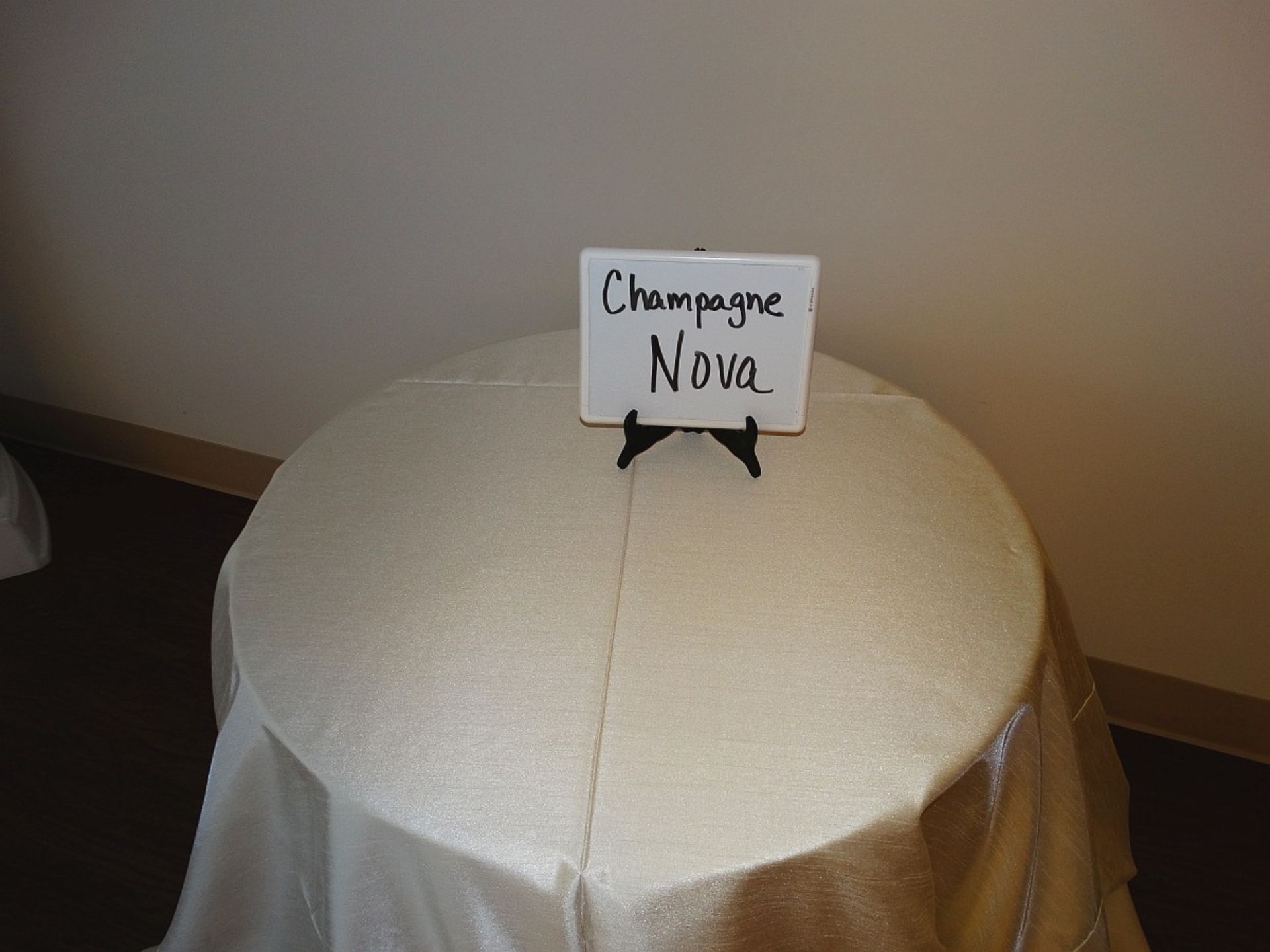 Napkin Champagne Nova Dupioni, Lot of 402 20"x20"