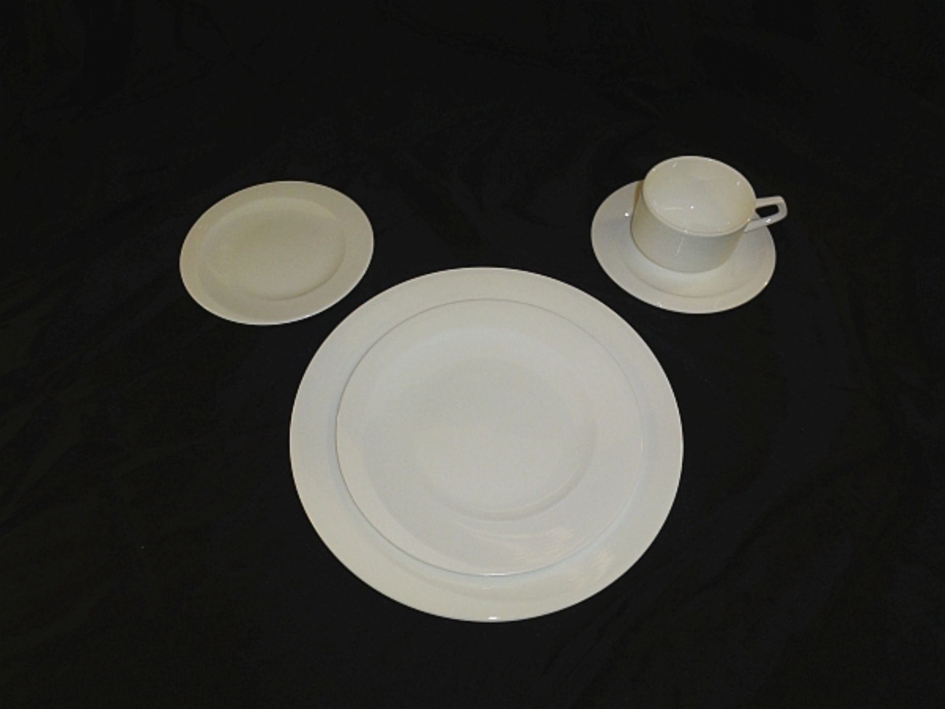 LOT OF 325 WHITE 6.25" BREAD/BUTTER PLATE- FORTESSA- LOT COMES IN 13 MICROWIRE CRATES BILLED @ - Image 2 of 2