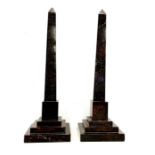 Pair of antique 19th century serpentine obelisks engraved with Egyptian hieroglyphics height 37.5cm
