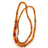 Antique egg yolk Baltic Amber bead necklace 55g