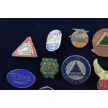 30 Assorted vintage transport related Lapel pin badges Inc BSA, Shell, AAA, Rover, Mustang Etc Items