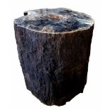 Petrified Wooden Trunk Versteinerter Holzstamm. Herkunft: Arizona. Alter: ca. 220 Mio. Jahre.