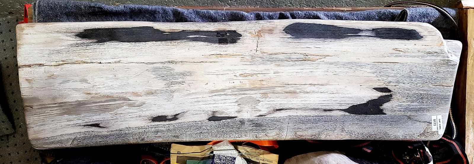 Petrified Wooden Trunk, half, black and white Versteinerter Holzstamm, Hälfte, schwarz-weiss.