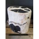 Petrified Wooden Trunk, black and white Versteinerter Holzstamm, schwarz-weiss. Herkunft: