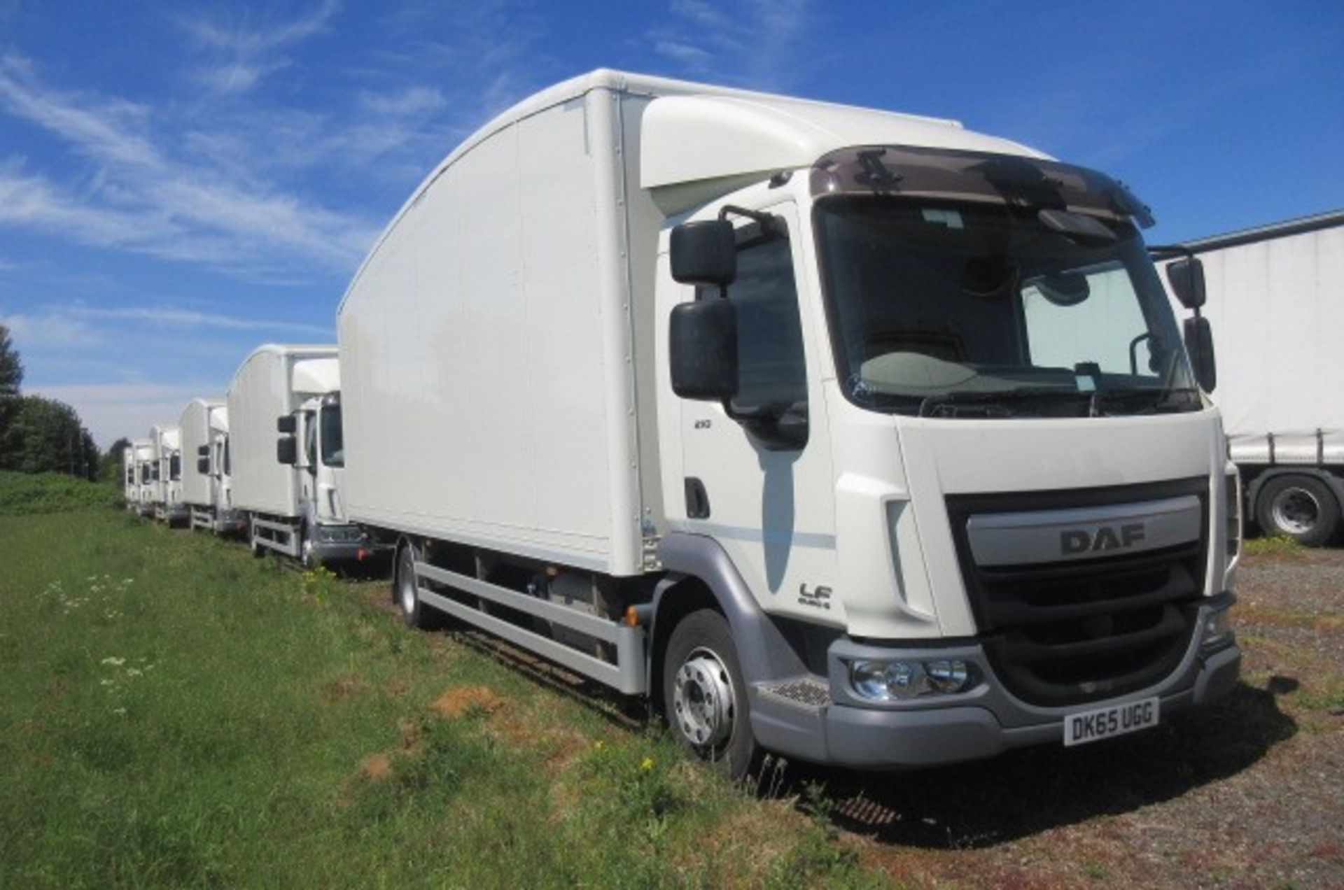 DAF FA LF 210 12-ton 4x2 Euro 6 rigid box (DK65 UGG) - Image 9 of 15