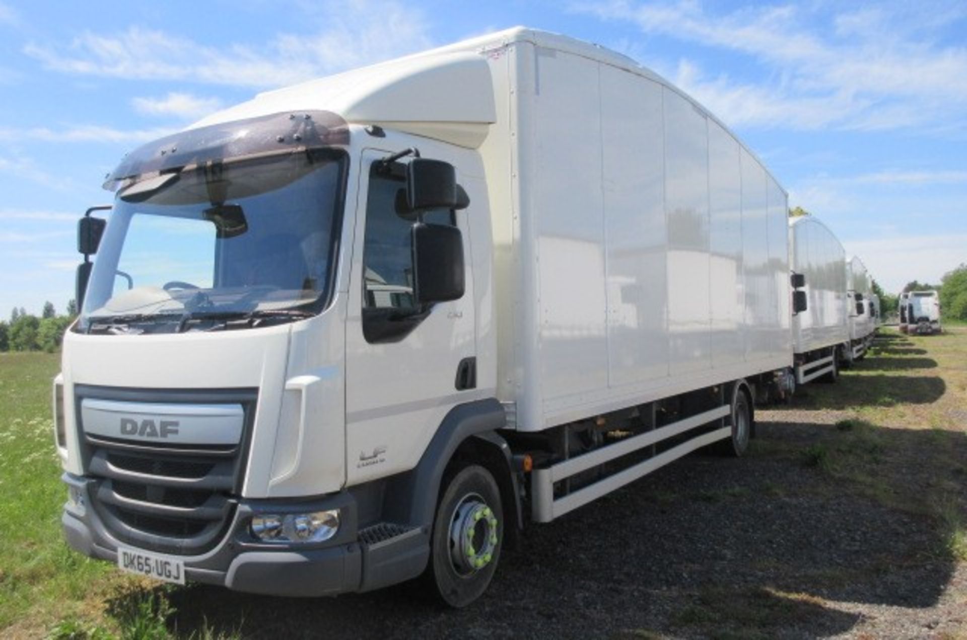 DAF FA LF 210 12-ton 4x2 Euro 6 rigid box (DK65 UGJ)