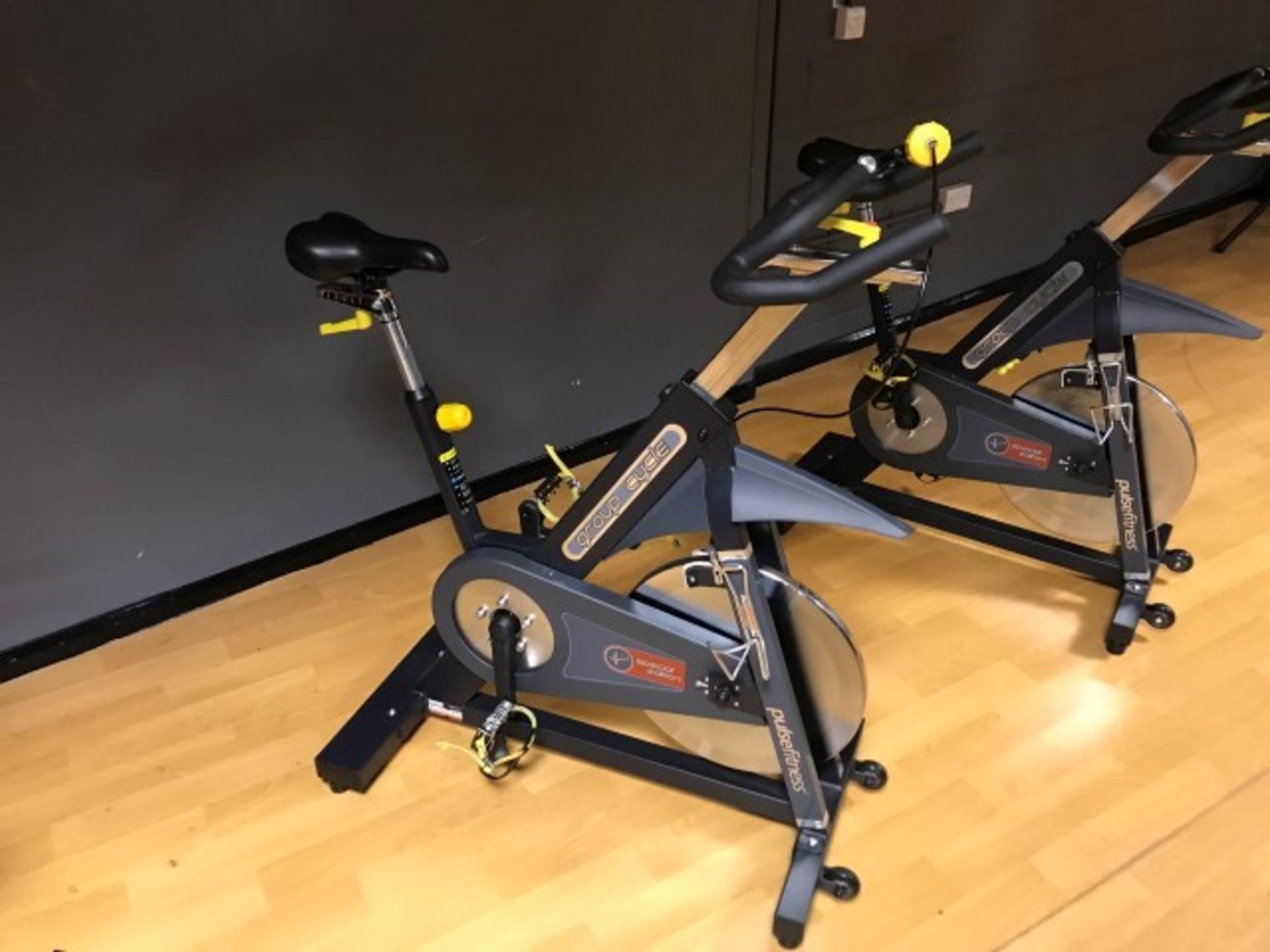 Pulse Fitness 225G Group Cycle spinning bicycle (2017)