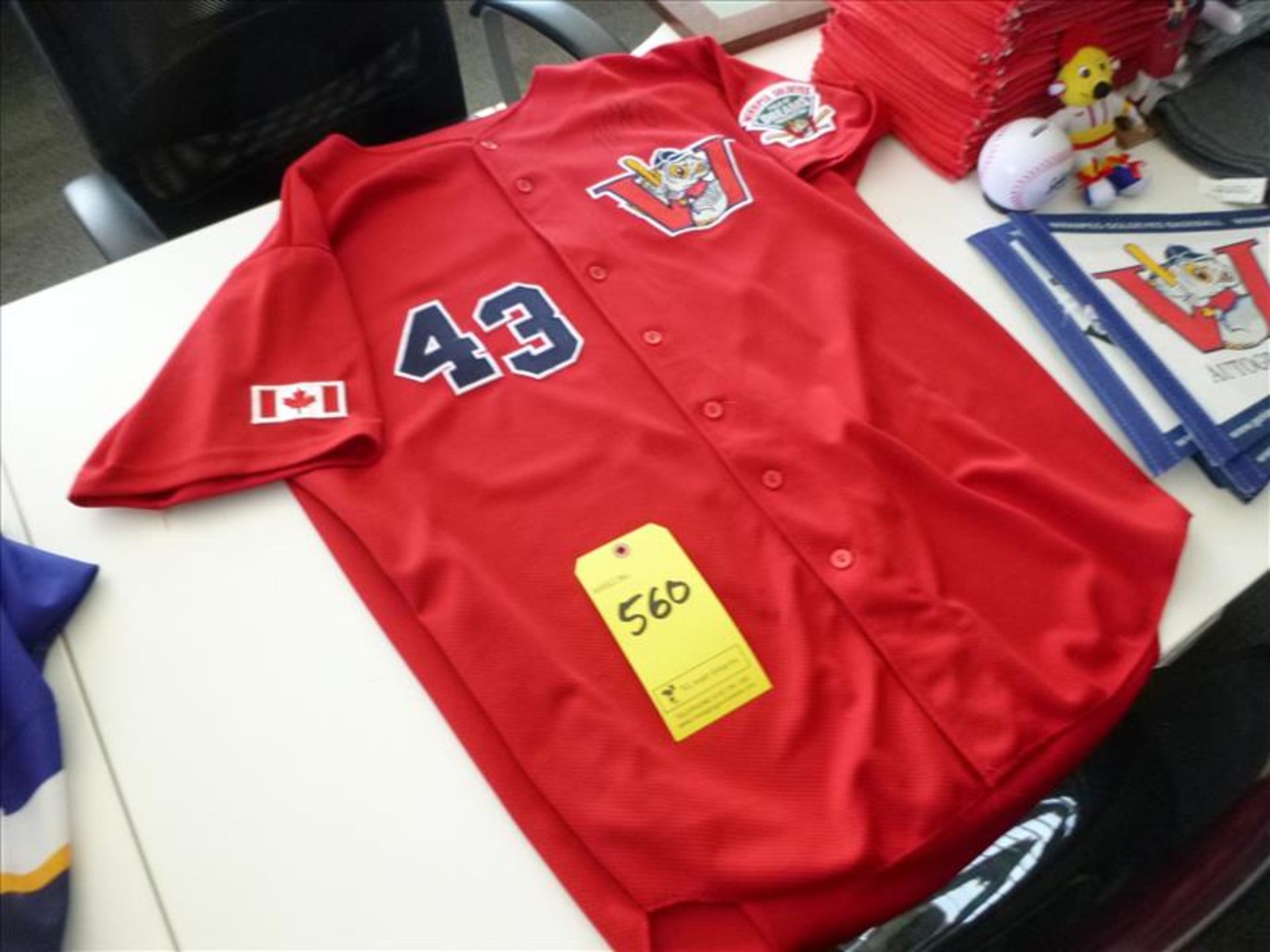 Winnipeg GoldEyes jersey, no. 43 c/w misc. paraphernalia